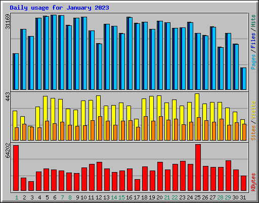 Daily usage for January 2023