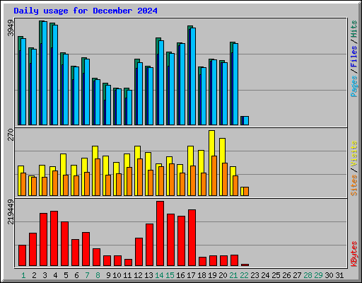 Daily usage for December 2024