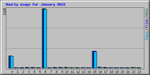 Hourly usage for January 2019