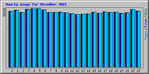 Hourly usage for December 2021