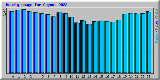 Hourly usage for August 2022