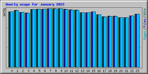 Hourly usage for January 2023