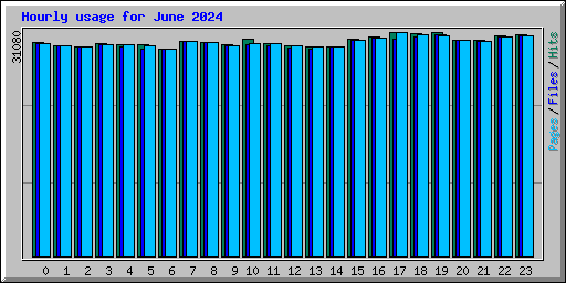 Hourly usage for June 2024