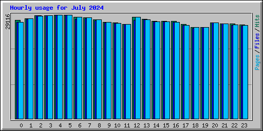 Hourly usage for July 2024