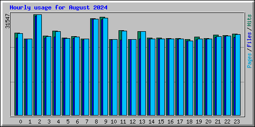 Hourly usage for August 2024