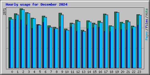 Hourly usage for December 2024