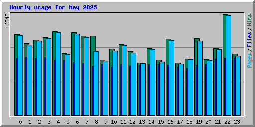 Hourly usage for May 2025