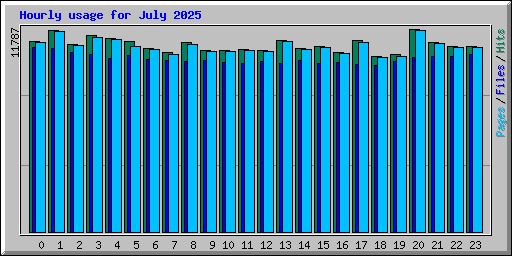 Hourly usage for July 2025