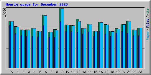 Hourly usage for December 2025